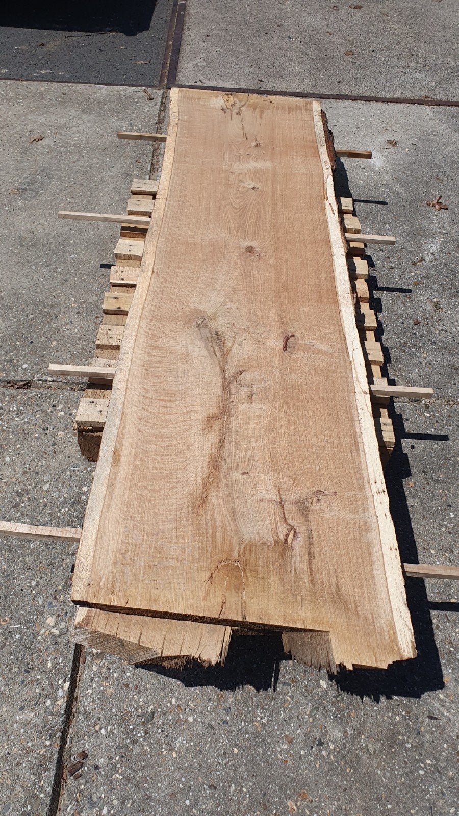 eiken schaaldelen douglas linde esdoorn beuken schijven, Ophalen, Nieuw, 250 cm of meer, Planken