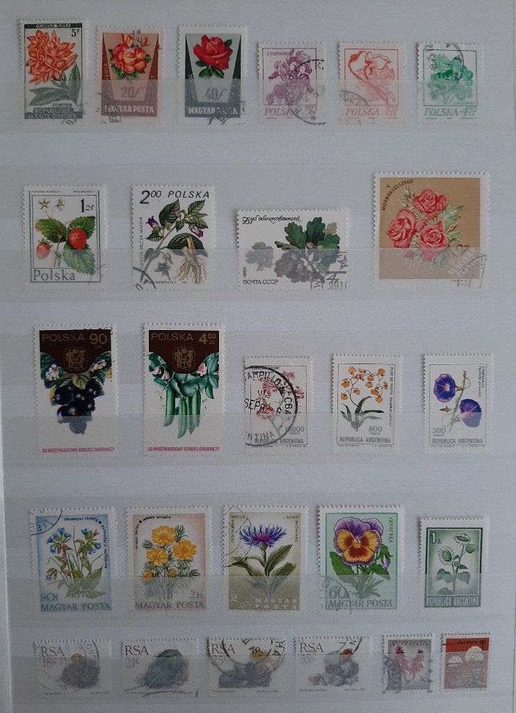 3 Kaarten Postzegels Bijzondere en Mooiste Bloemen No. 27, Ophalen, Dier of Natuur