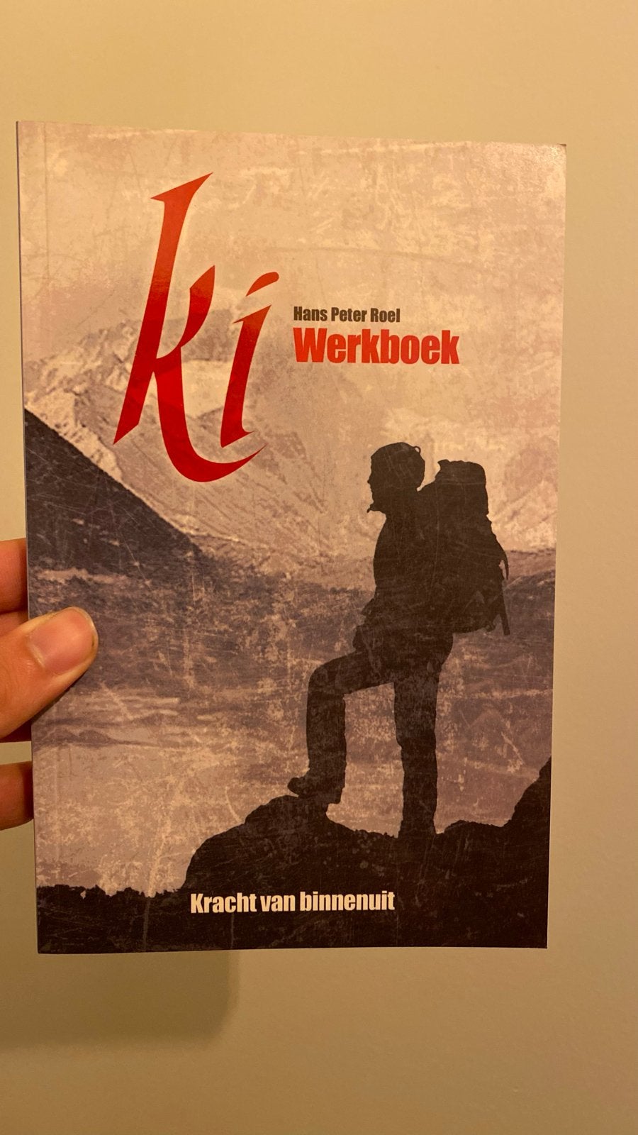 Ki Werkboek: Kracht van binnenuit - Hans Peter Roel, Ophalen of Verzenden, Zo goed als nieuw, Spiritualiteit algemeen, Instructieboek