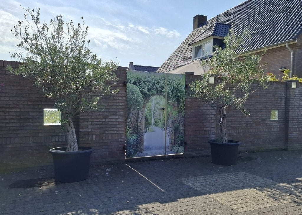 2 mooie olijfbomen, Tuin en Terras, Planten | Bomen, 100 tot 250 cm, Olijfboom, Zomer, Ophalen