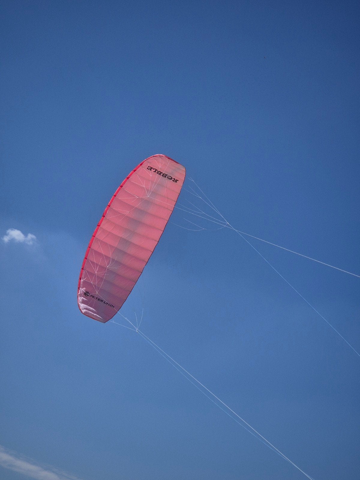 Peter Lynn Rebel 5 en 6.5 Matras Power Kites, Ophalen, Gebruikt, Vierlijns, Vlieger