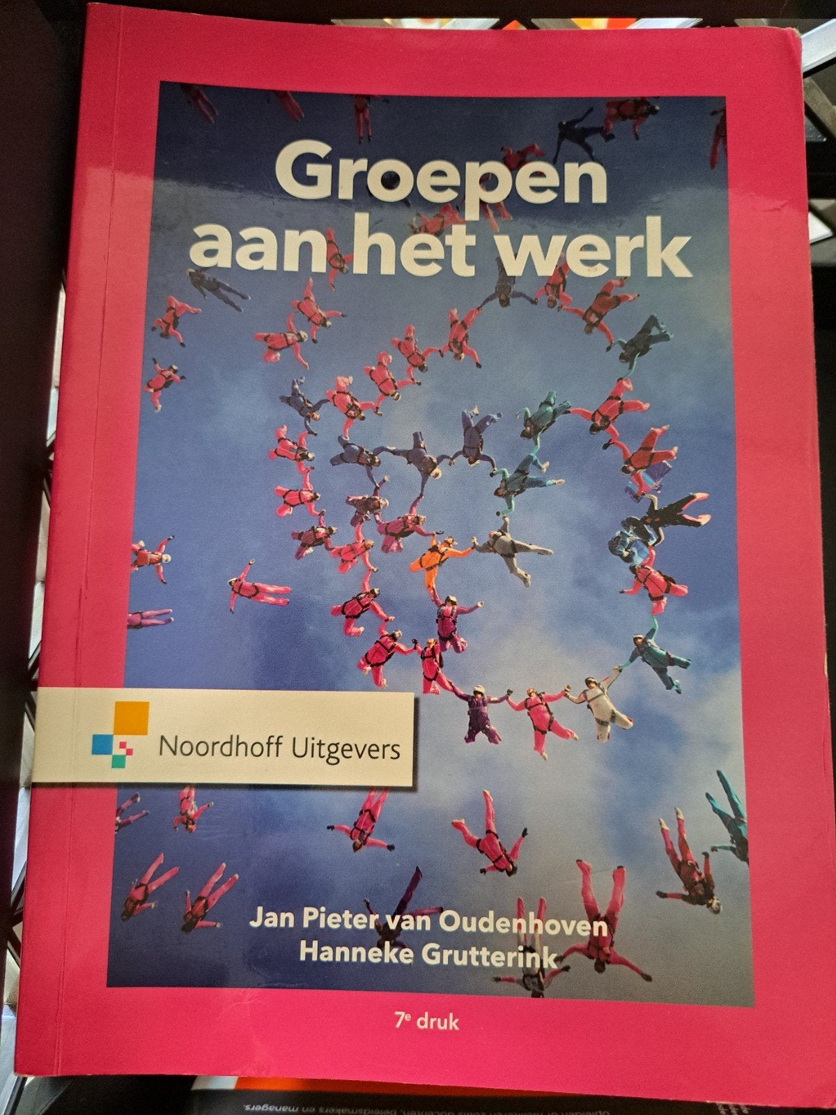 Groepen aan het werk - Jan Pieter van Oudenhoven, Boeken, Gelezen, Jan Pieter van Oudenhoven, Hanneke Grutterink, Gamma, HBO
