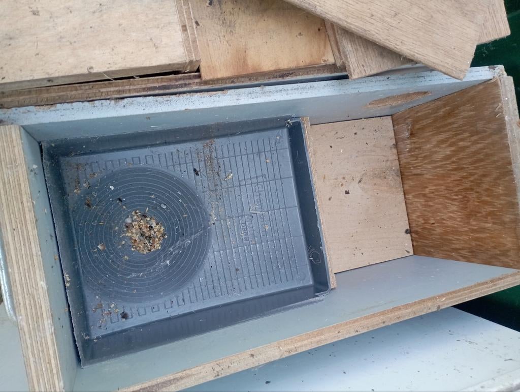 Van Keulen broedblokken 8 st., Meerdere dieren, Postduif