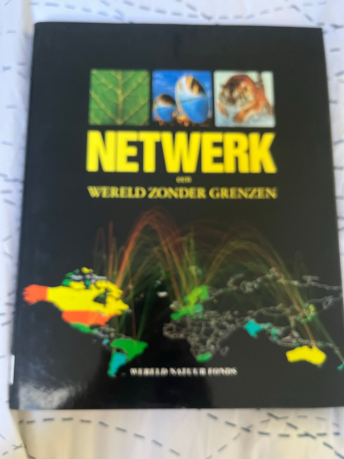 Netwerk Wereld Zonder Grenzen - Aardrijkskunde Boek, Ophalen of Verzenden, Gamma, Zo goed als nieuw, MBO