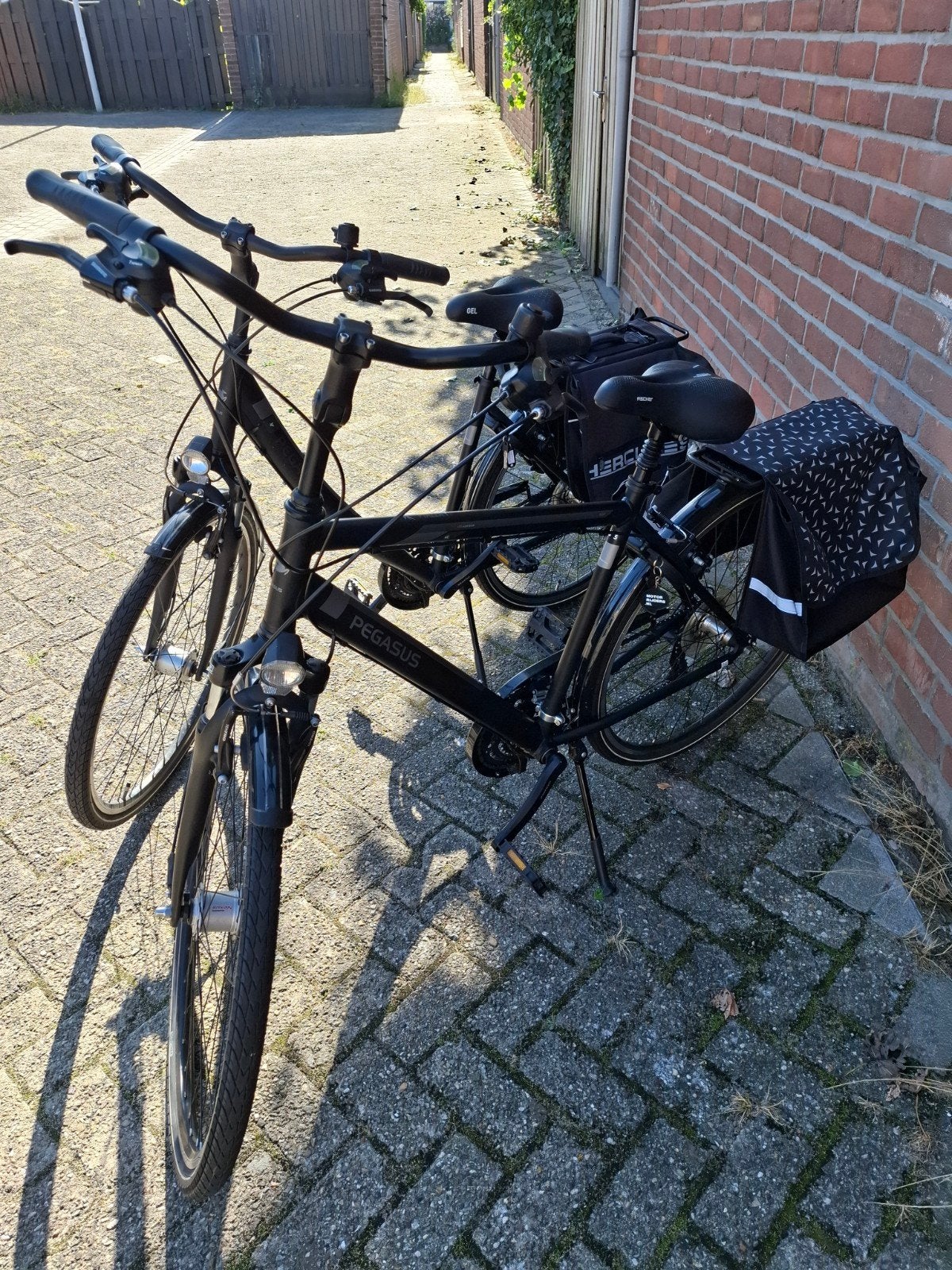 set fijne lichtgewicht fietsen dames en heren in nieuwstaat, Ophalen, Zo goed als nieuw, Pegasus piazza lite antraciet