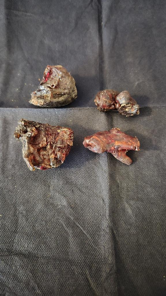 Barnsteen, Verzamelen, Mineralen en Fossielen, Verzenden, Fossiel