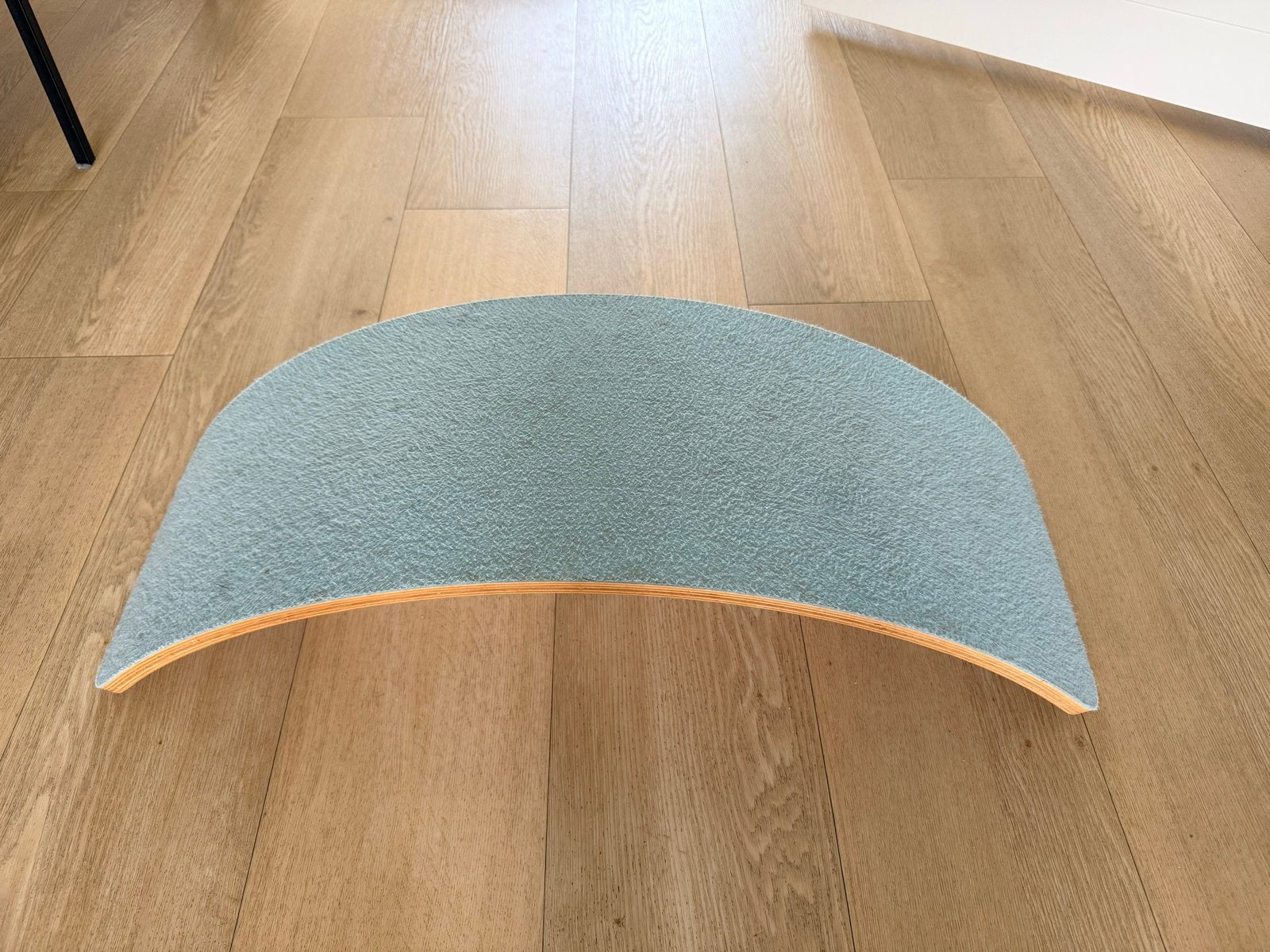 Wobbel Board met Vilt
