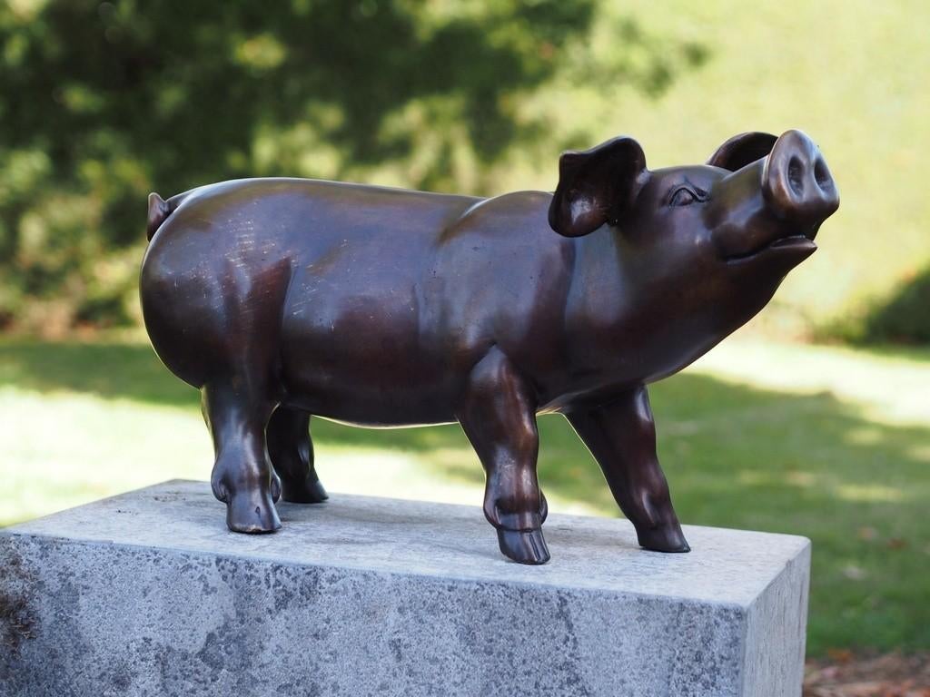 VARKEN / BRONZEN TUINBEELD / 2 MATEN, Dierenbeeld, Nieuw, Info@huisentuindecoratiemarie.nl, Huis en tuin decoratie marie