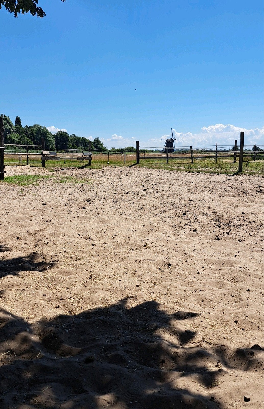 Stalling shetlander of pony tot 1.30m in Akersloot