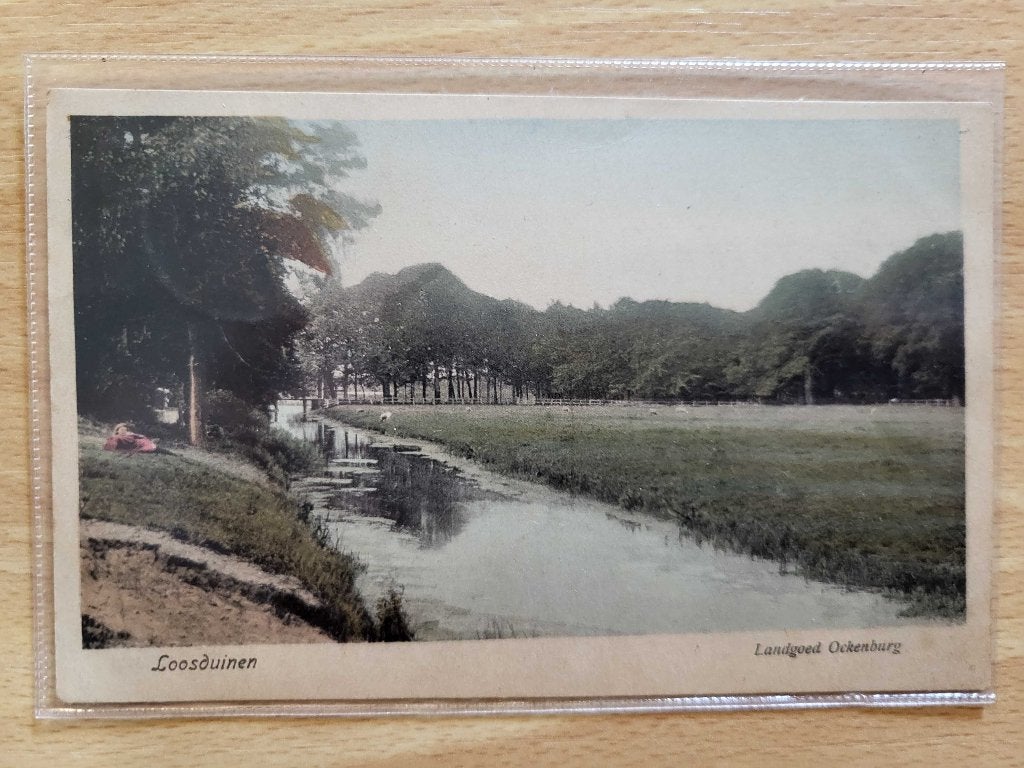 ansicht LOOSDUINEN landgoed ockenburg, Verzamelen, Ansichtkaarten | Nederland, Ophalen of Verzenden, Voor 1920, Zuid-Holland