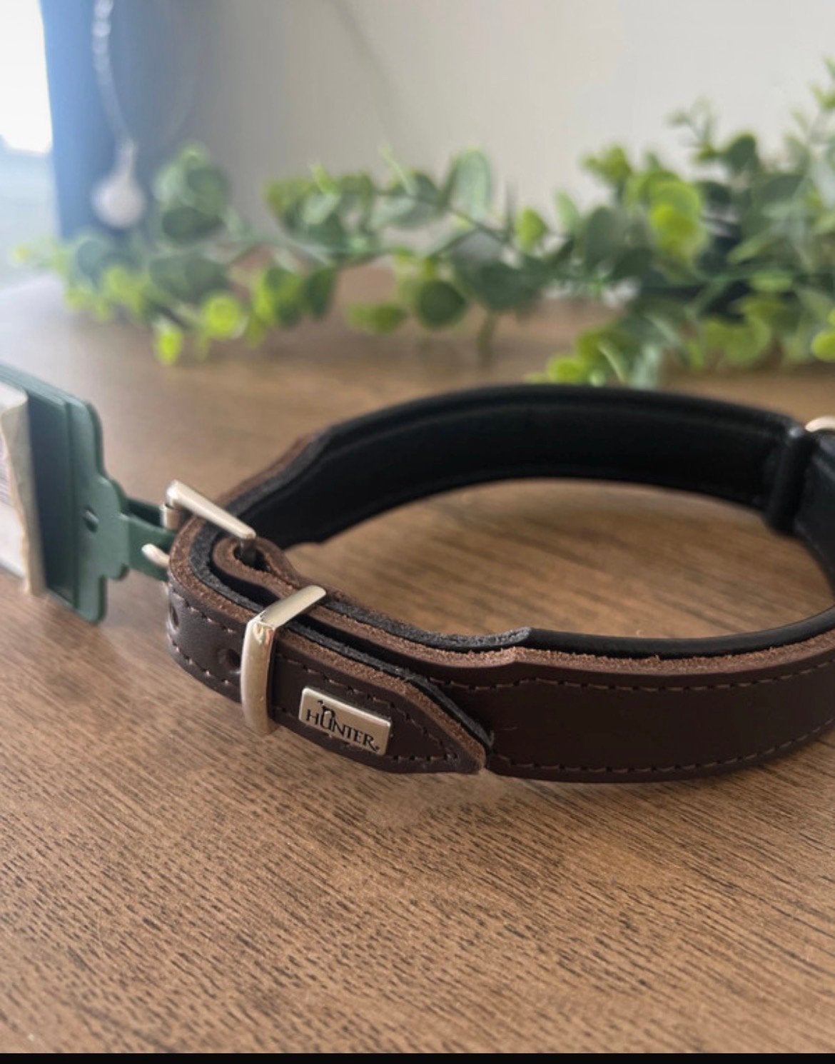 M-Hondenhalsband kwaliteits leer-Hunter, Ophalen of Verzenden, Nieuw