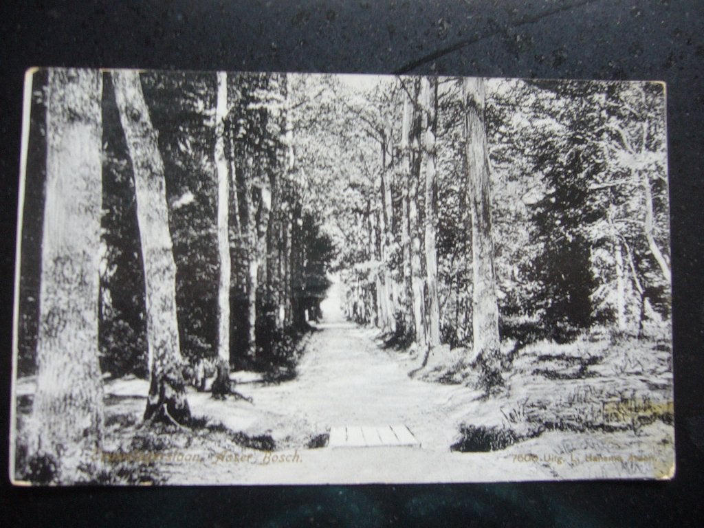 ASSEN  =  TOUWSLAGERSLAAN  BRIEFKAART 1910, Verzamelen, Ansichtkaarten | Nederland, Ophalen of Verzenden, Voor 1920, Gelopen, Drenthe