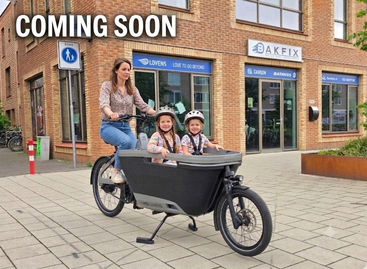 Lovens S75 Bakfiets met 500Wh accu en regentent