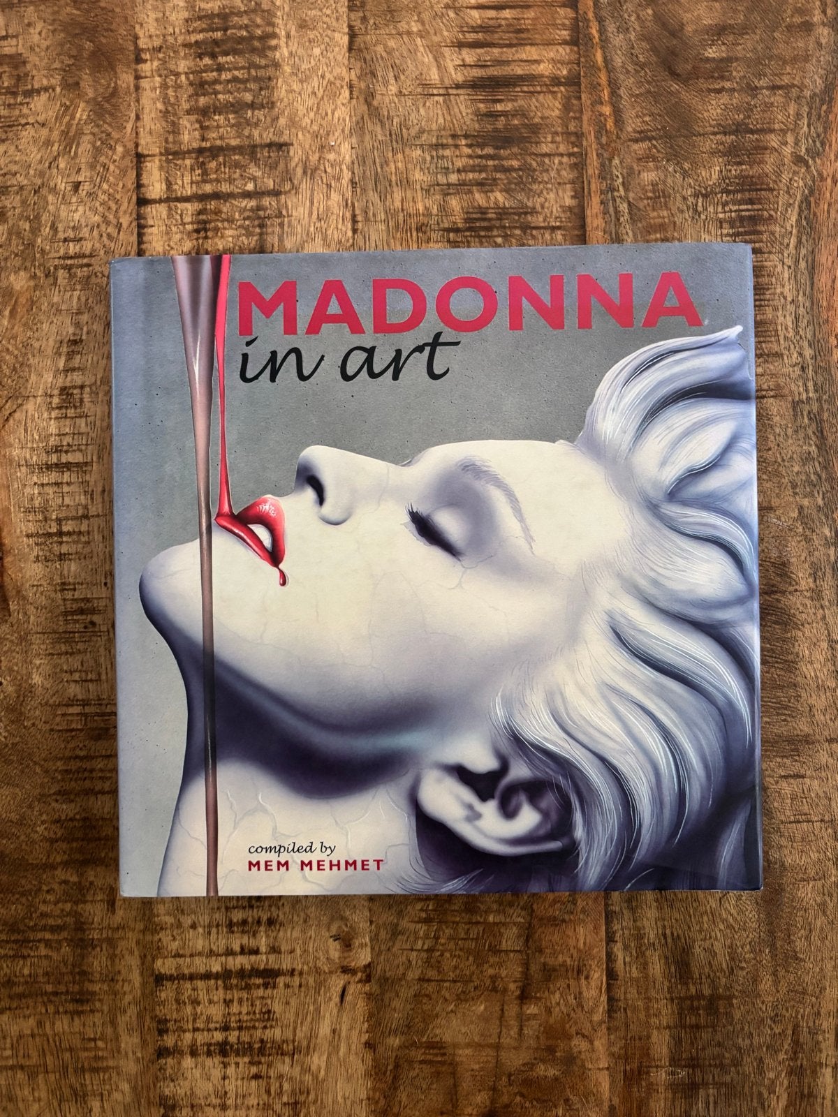 Madonna in Art - Boek over Madonna, Ophalen of Verzenden, Zo goed als nieuw, Artiest