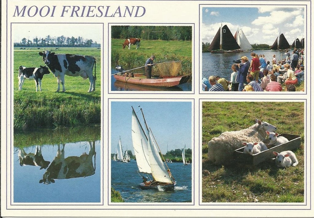 Friesland              212a, Ophalen of Verzenden, Voor 1920, Friesland