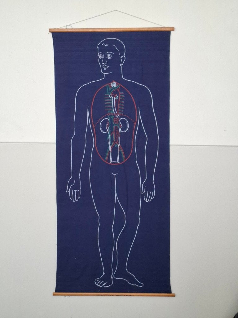 vintage grote poster/wandkleed/schoolplaat organen anatomie, Ophalen of Verzenden, Natuur en Biologie