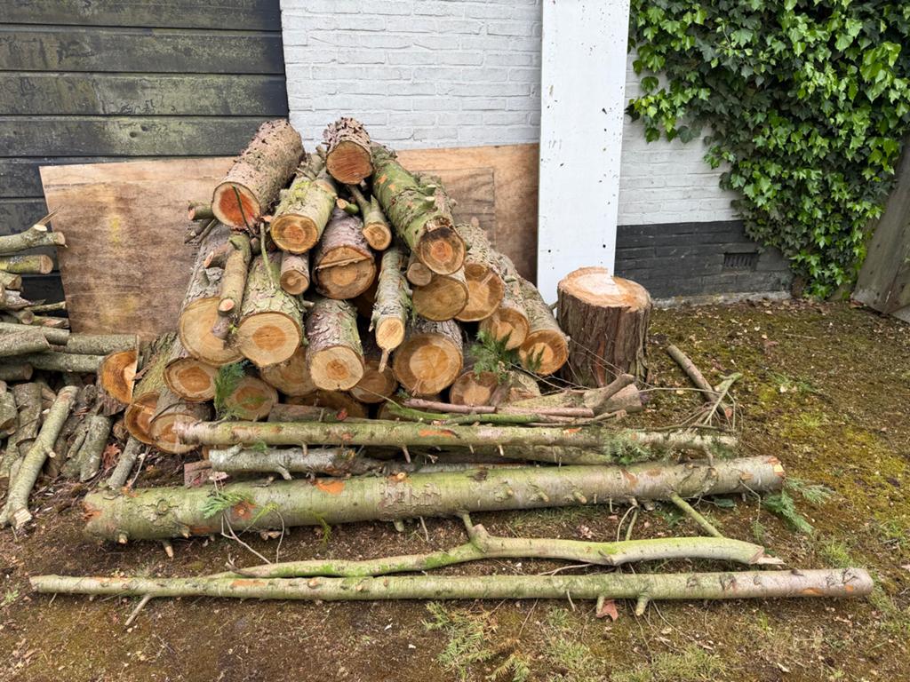 Coniferen stammen en takken voor brandhout of houtbewerking, Tuin en Terras, Haardhout, 3 tot 6 m³, Ophalen, Overige houtsoorten