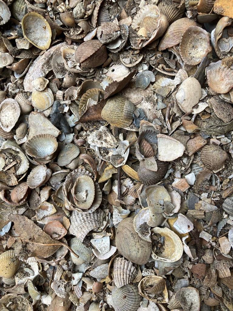 Halve big bag schelpen voor tuin of onder vlonder, Tuin en Terras, Grind, Keien en Split, Ophalen, Gebruikt, Overige materialen