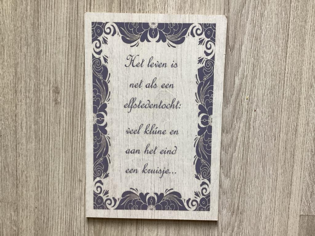 Houten wandbord: Het leven is net als een Elfstedentocht, Hout, Nieuw, Ophalen of Verzenden, Wandbord of Wandpaneel