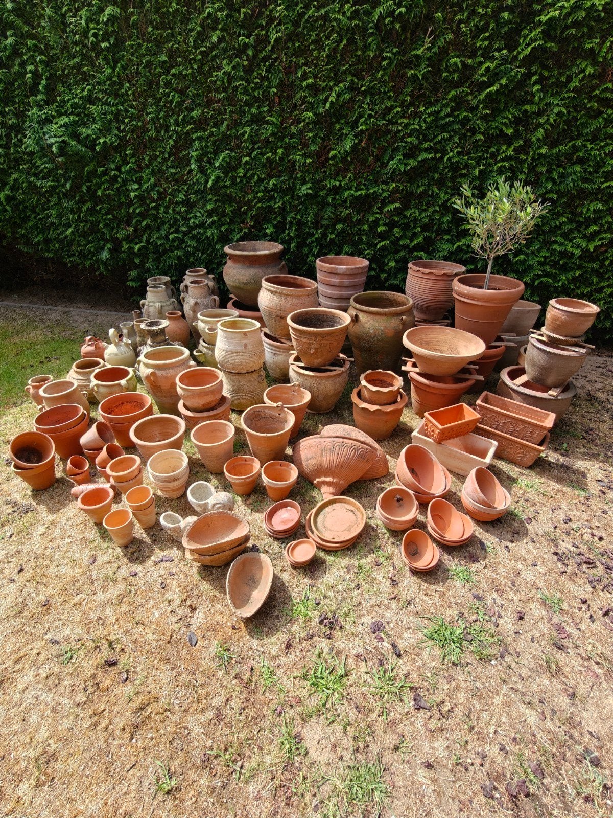 heel veel terracotta potten, amphoren, schotels etc, Ophalen of Verzenden, Rond, Minder dan 25 cm, Minder dan 40 cm