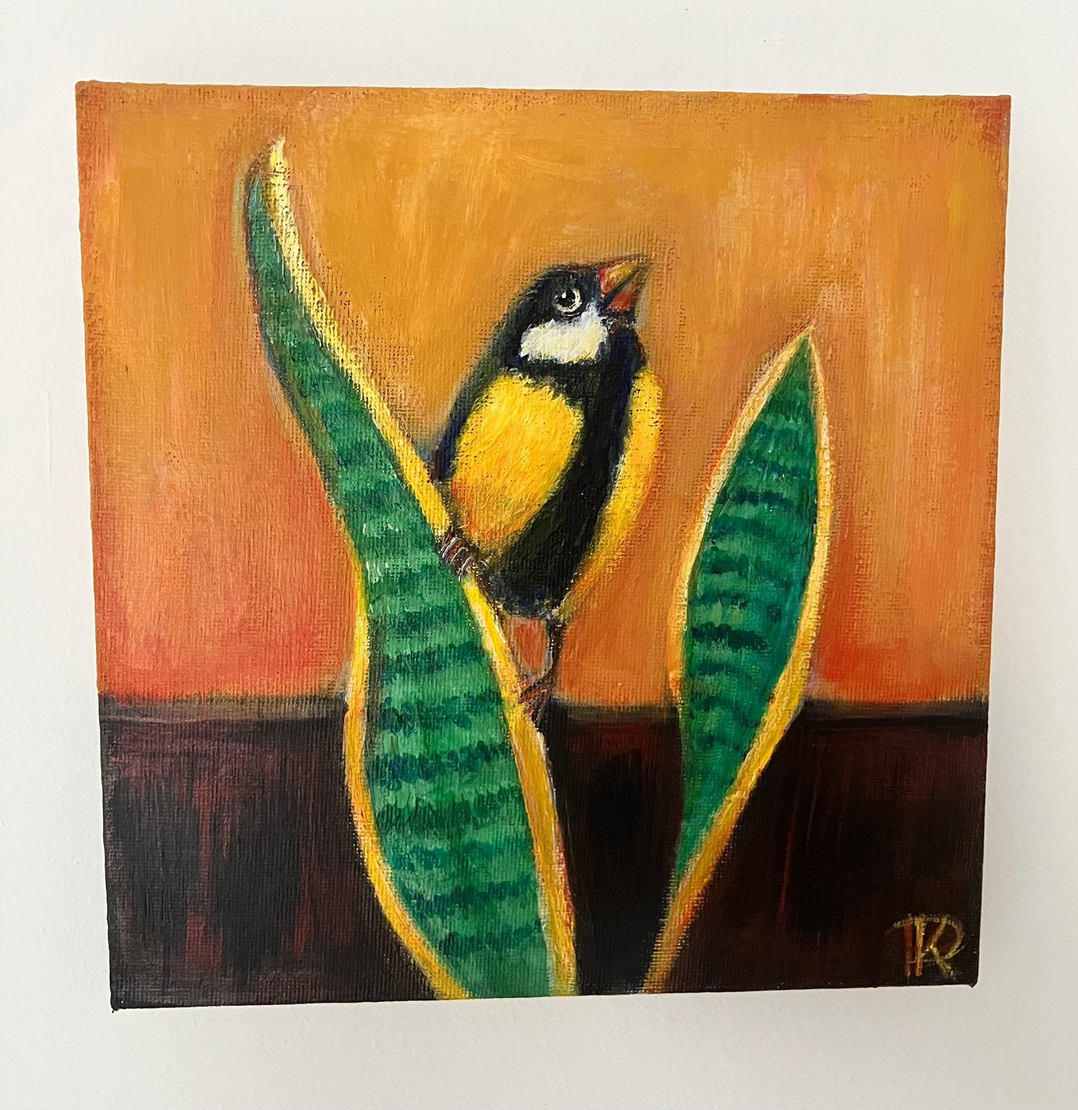 Schilderij koolmees  op sanseviera handgeschilderd, Acrylverf, Ophalen of Verzenden, Dieren, Overige materialen
