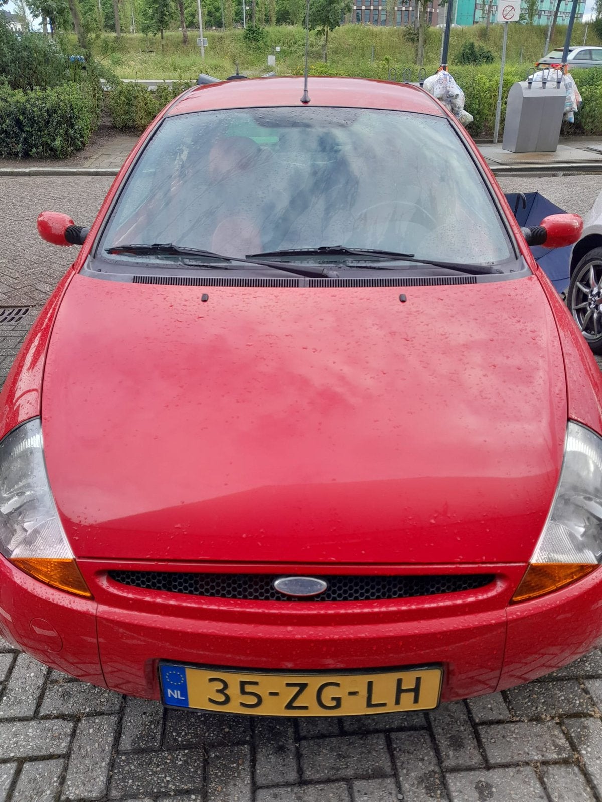 Ford Ka 1.3 I 51KW 2008 Rood, Auto's, Ford, Voorwielaandrijving, 1299 cc, 15 km/l, 31 €/maand