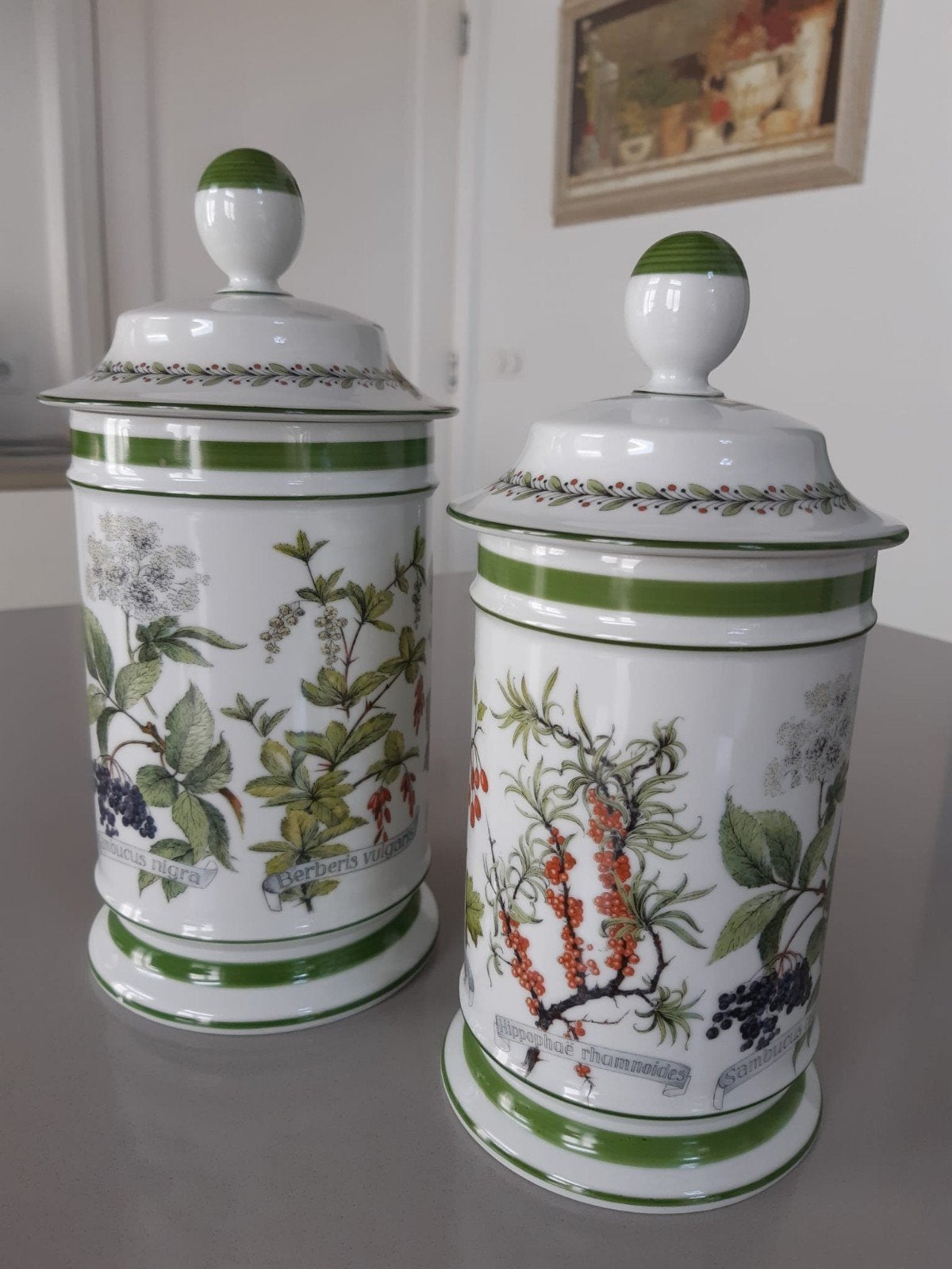 2 Botanische Voorraadpotten Kaiser Porselein, Overige typen, Ophalen of Verzenden, Zo goed als nieuw, Overige stijlen