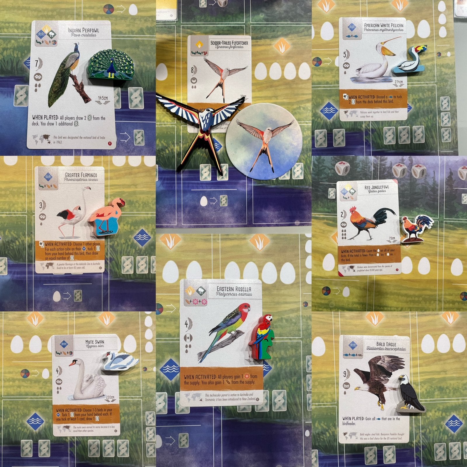 Wingspan token upgrade, Ophalen of Verzenden