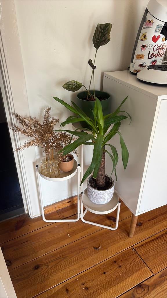 Planten trapje, Ophalen, Zo goed als nieuw