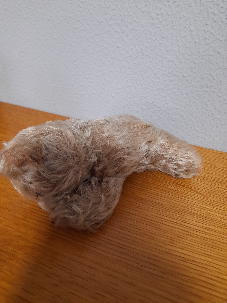steiff adv 196 beer zotty slaapt, Ophalen