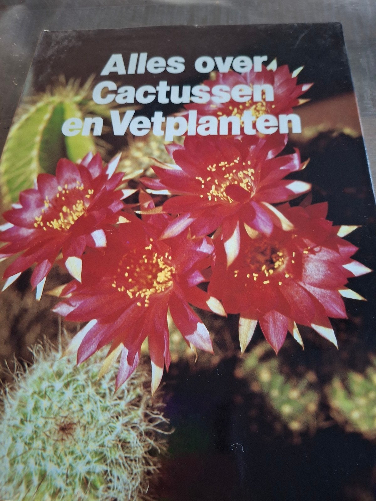 3 boeken van lekturama uitgeverij, Boeken, Ophalen, Gelezen, Overige onderwerpen