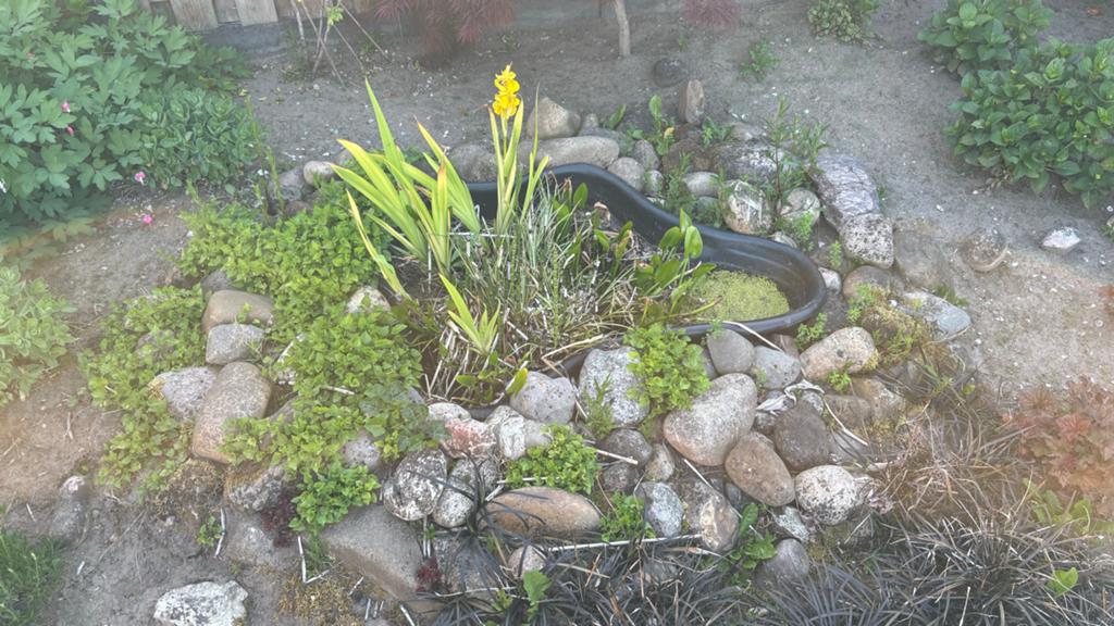 Meer dan 100 zwerfkeien, Tuin en Terras, Ophalen, Overige materialen, Gebruikt, Kei