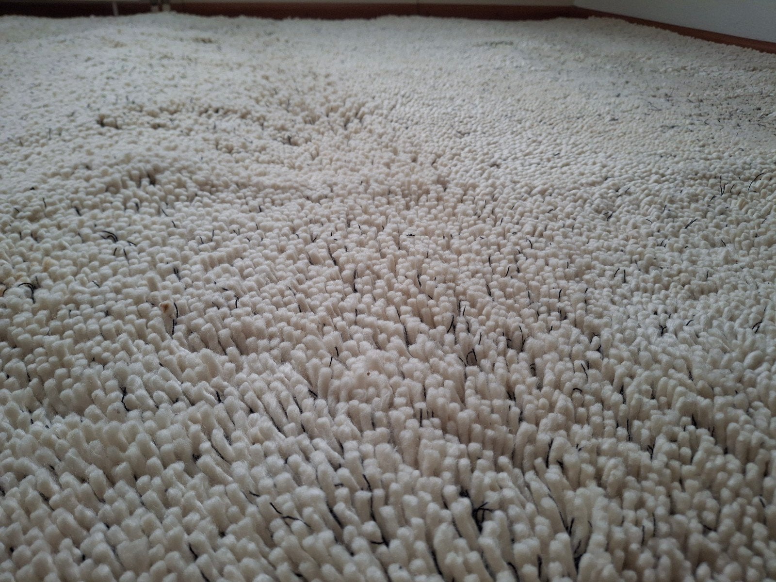 Vloerkleed van Nieuwzeelandse wol, wolwit. 230x240 cm., Ophalen, 200 cm of meer, Moderne neutrale look, Zo goed als nieuw