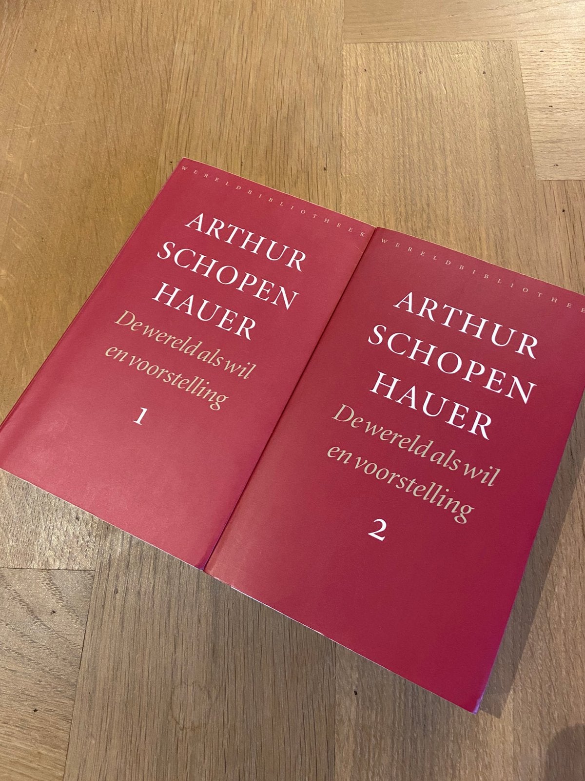 Arthur Schopenhauer - De wereld als wil en voorstelling, Boeken, Ophalen of Verzenden, Zo goed als nieuw, Metafysica of Natuurfilosofie