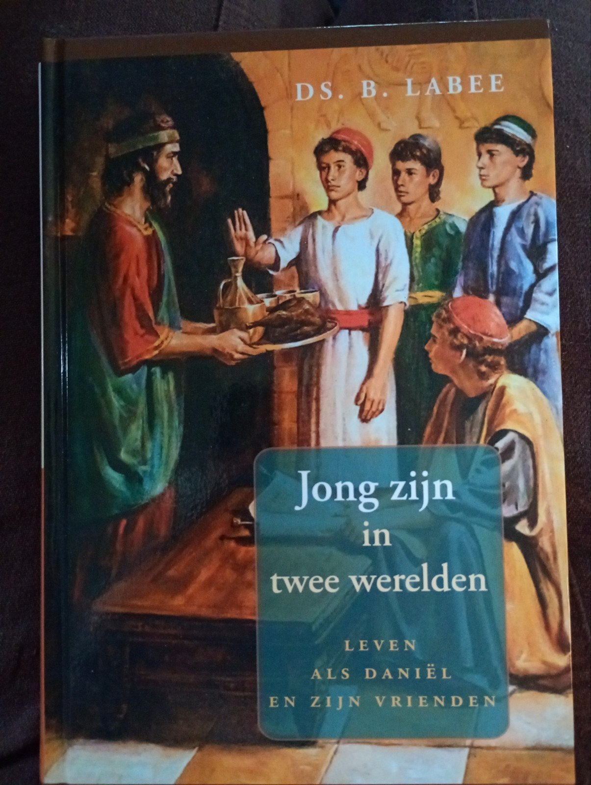 B. Labee - Jong zijn in twee werelden, Ophalen of Verzenden, Zo goed als nieuw, B. Labee