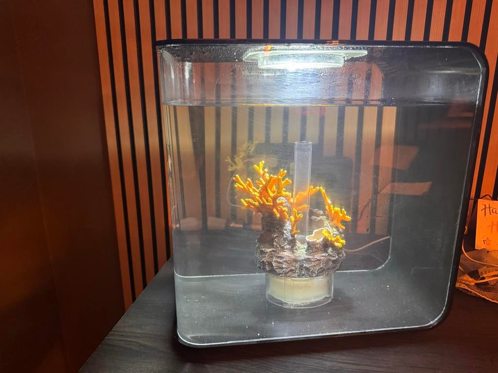 Biorb aquarium 30 liter, Ophalen, Gebruikt, Leeg aquarium