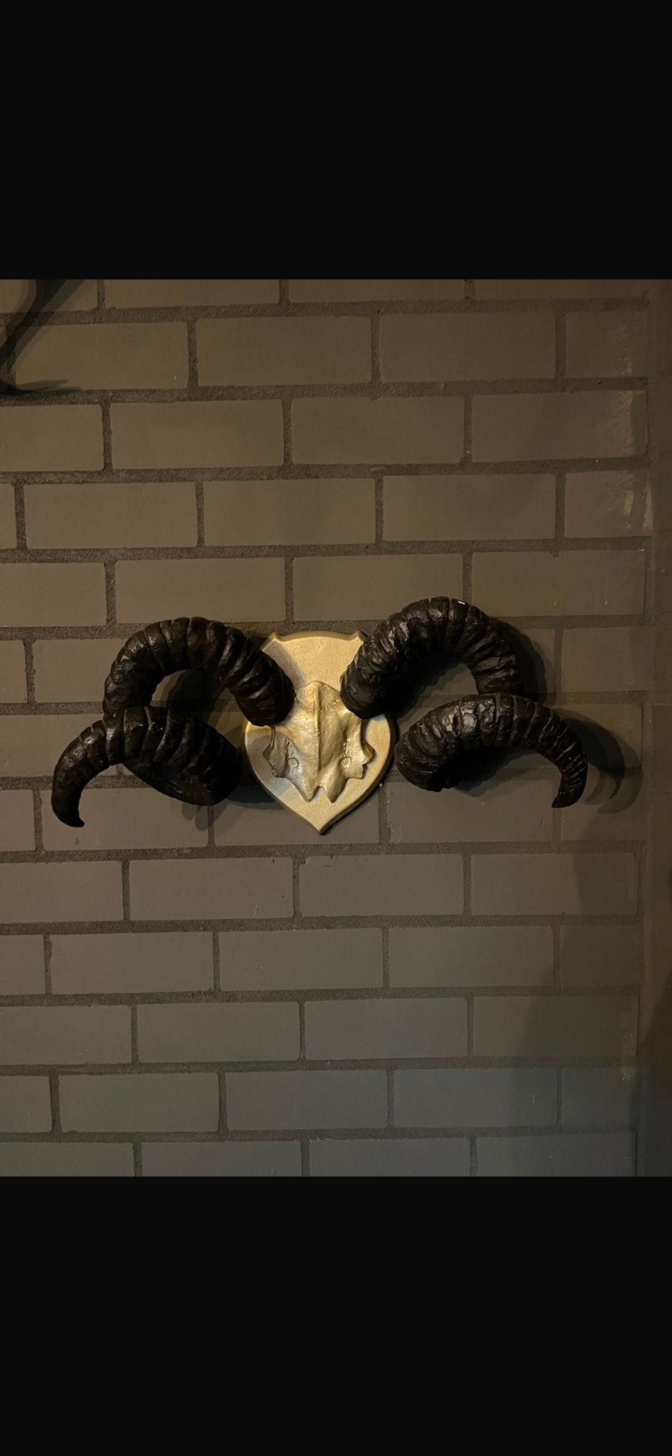 Decoratief Gewei Wanddecoratie - Zandbergen, Ophalen, Zwart, Decoratieobject, Zo goed als nieuw