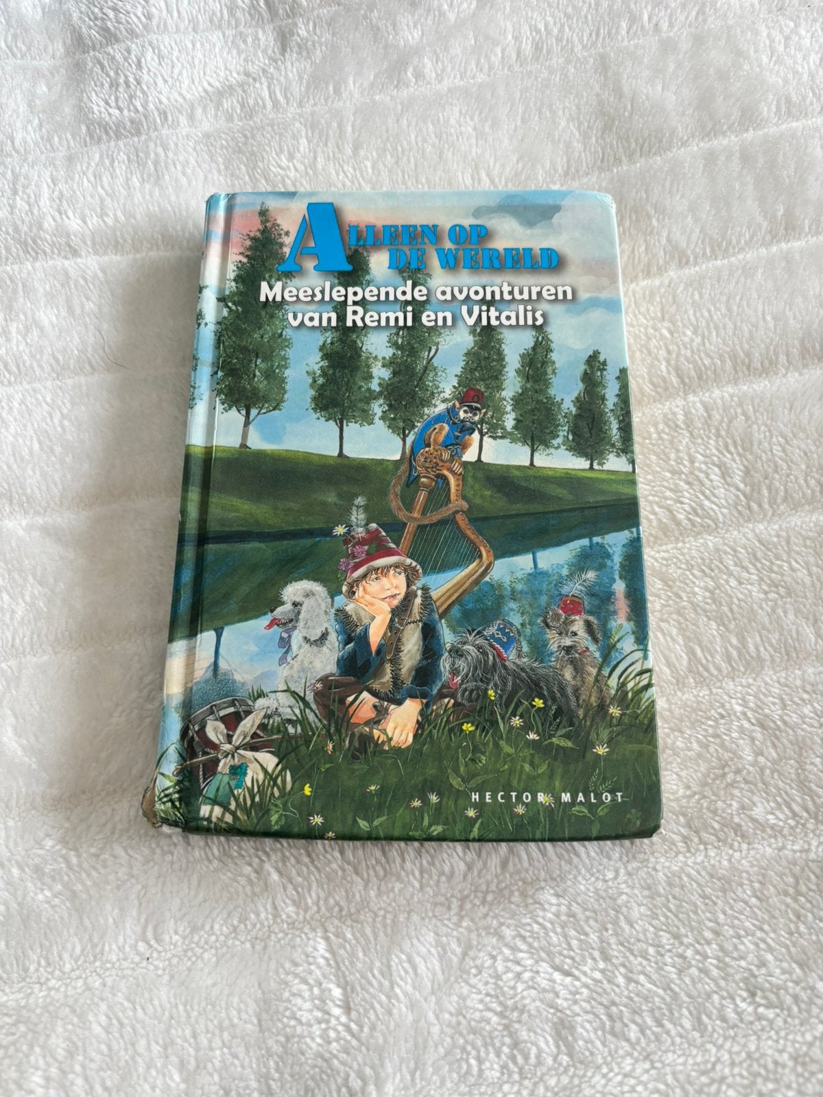 Alleen op de wereld, Boeken, Ophalen of Verzenden, Zo goed als nieuw, Fictie