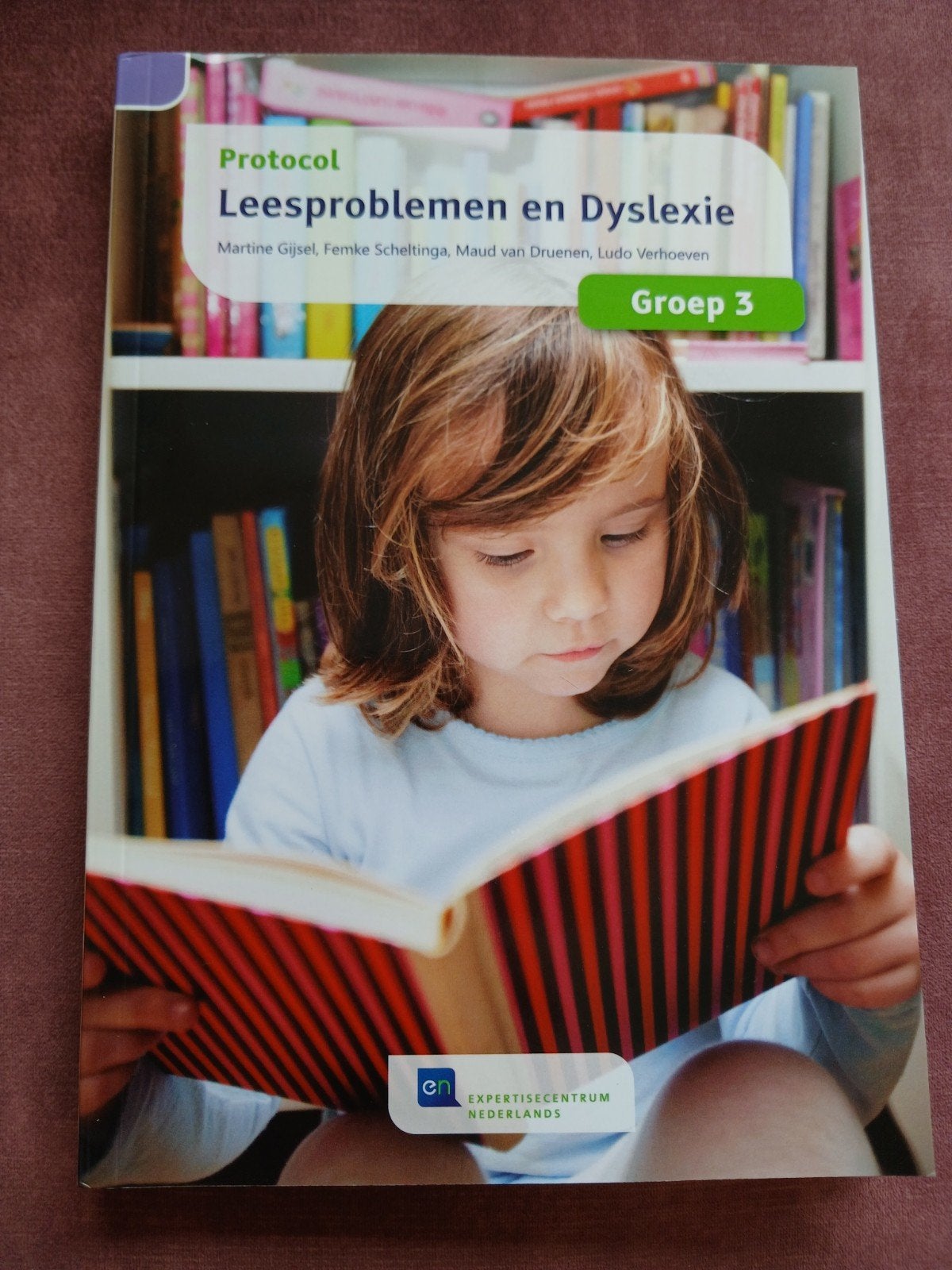 Protocol Leesproblemen en Dyslexie voor groep 3, Ophalen of Verzenden, Zo goed als nieuw, Overige niveaus, Martine G, Femke S, Maud van D, Ludo V