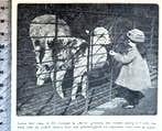 Artis 1918; een in artis geboren lama-jong, Verzenden, Voor 1940, Gebruikt, Dier
