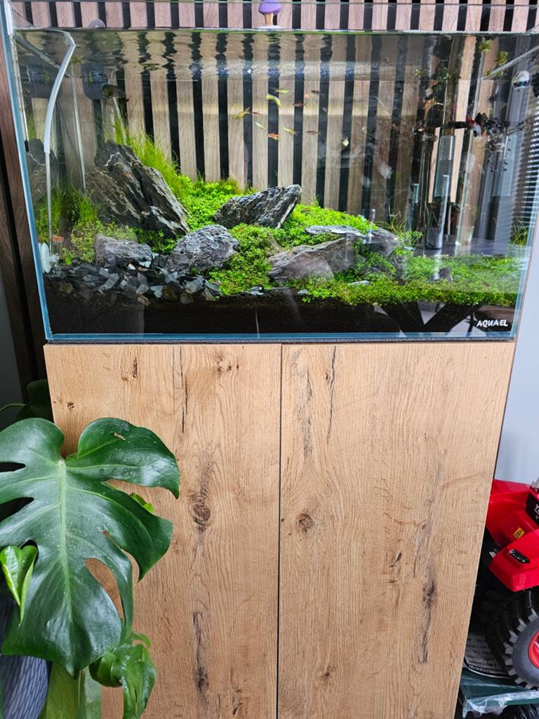 Aquael UltraScape aquarium met onderkast/filter/co2/vissen, Dieren en Toebehoren, Vissen | Aquaria en Toebehoren, Ophalen, Inclusief vissen
