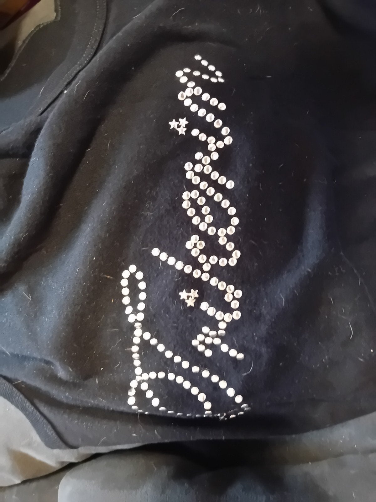 Zwarte hoodie met 'Free Triker Germany' adelaar patch, Ophalen of Verzenden, Gedragen, Onbekend