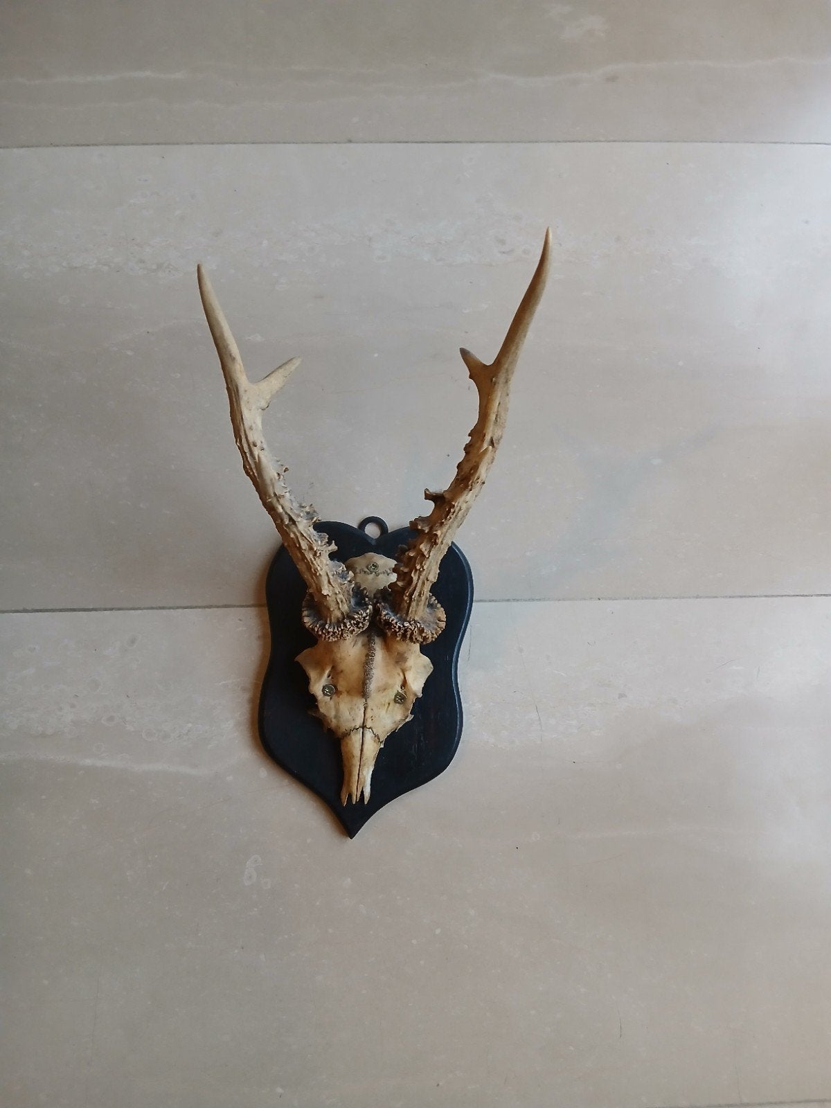 2 keer Ree-gewei op schild - Vintage jachtdecoratie, Ophalen
