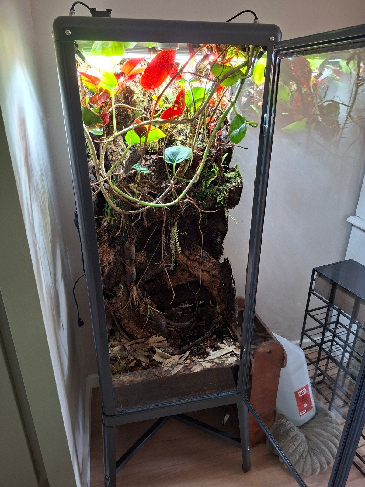Terrarium met planten en techniek, Ophalen