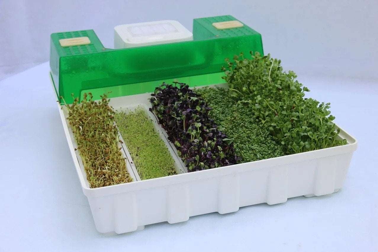 easygreen kiem apparaat met vernevelaar, Kunststof, Gebruikt, Minder dan 30 cm, Minder dan 60 cm