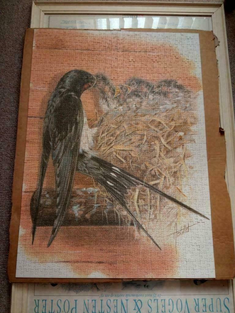 Zwaluw  met jongen  Puzzel in doos. 1000 stukjes., Ophalen of Verzenden, 500 t/m 1500 stukjes, Gebruikt, Legpuzzel