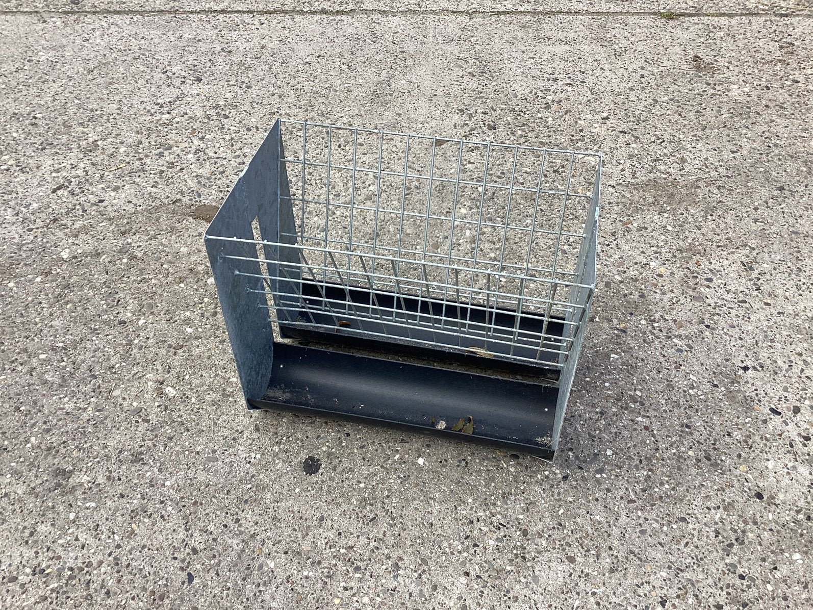 Hooiruif voor op het hek, Meerdere dieren, Schaap
