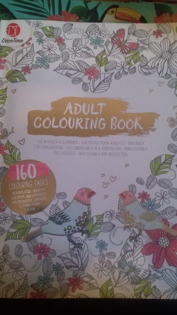 volwassen kleurboek 160 bladzijden - deco time, Hobby en Vrije tijd, Ophalen of Verzenden, Nieuw, Papier, Schets- of Tekenboek