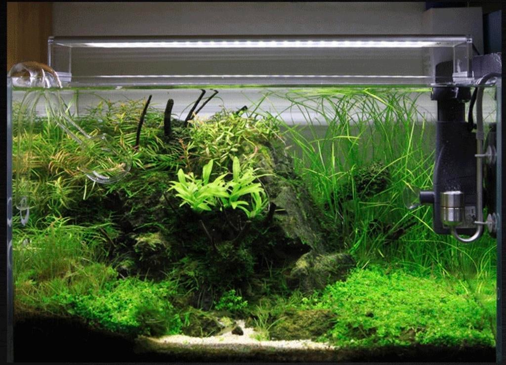 Aquqarium verlichting LED 40 cm, Dieren en Toebehoren, Vissen | Aquaria en Toebehoren, Ophalen, Nieuw, Verlichting of Verwarming