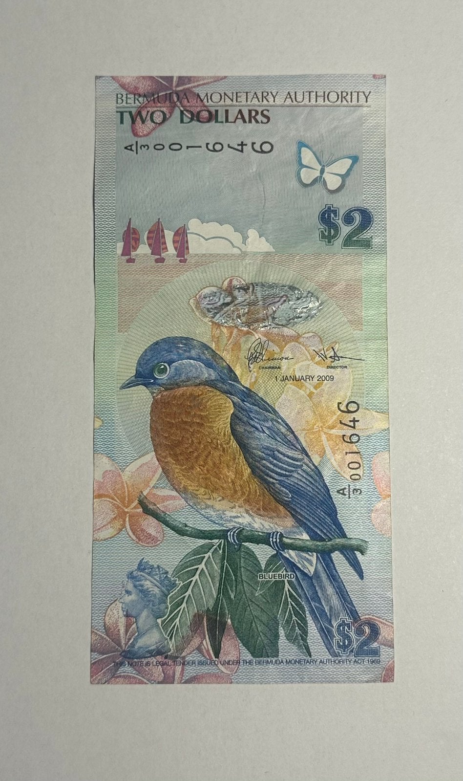 Bermuda 2 Dollar biljet - 2009, Postzegels en Munten, Bankbiljetten | Amerika, Ophalen of Verzenden, Noord-Amerika, Los biljet